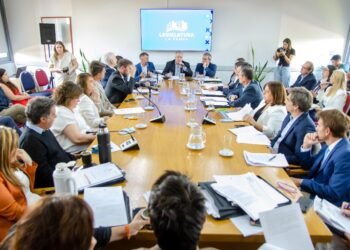 Diputados acuerdan financiamiento con ANSES: ¿cuánto recibirá La Pampa?