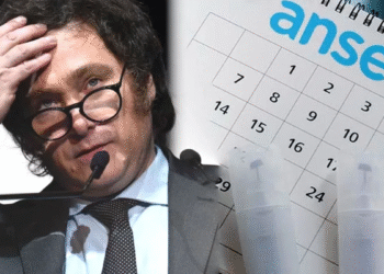 Cuánto recibirán jubilados, pensionados, AUH y PNC en enero de 2026