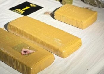 Córdoba: cinco detenidos tras el hallazgo de más de 6 mil dosis de drogas