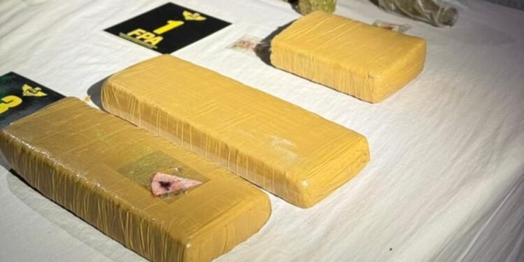 Córdoba: cinco detenidos tras el hallazgo de más de 6 mil dosis de drogas