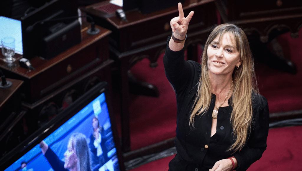 Di Tullio: 'El superávit de Milei es ficticio, se lo robó a la Provincia de Buenos Aires'