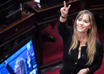 Di Tullio: 'El superávit de Milei es ficticio, se lo robó a la Provincia de Buenos Aires'