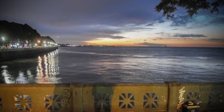 Detectan sustancias como viagra y paracetamol en el Río de la Plata: ¿qué significa para nuestro ecosistema?