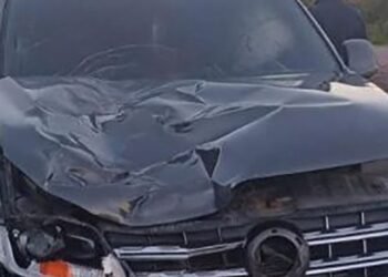 Murió un hombre atropellado por conductor borracho en Santiago del Estero: ¿creyó que era un caballo?