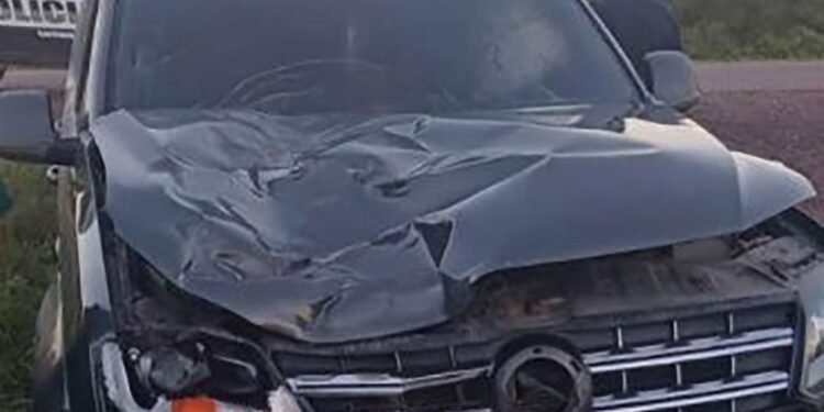 Murió un hombre atropellado por conductor borracho en Santiago del Estero: ¿creyó que era un caballo?