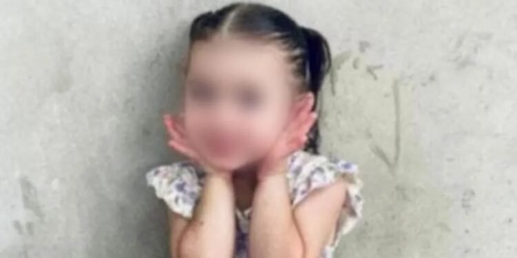 Bianca, la nena atropellada por un patrullero, recibió el alta y ya está en casa