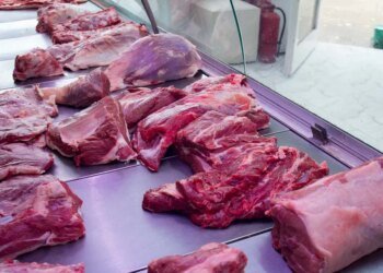 Banco Provincia amplía beneficios de Cuenta DNI en comercios de barrio desde enero