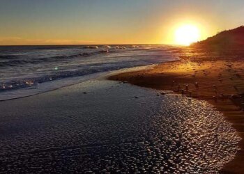 Descubrí Pehuen Có: la playa oculta de la Costa atlántica para disfrutar todo el año