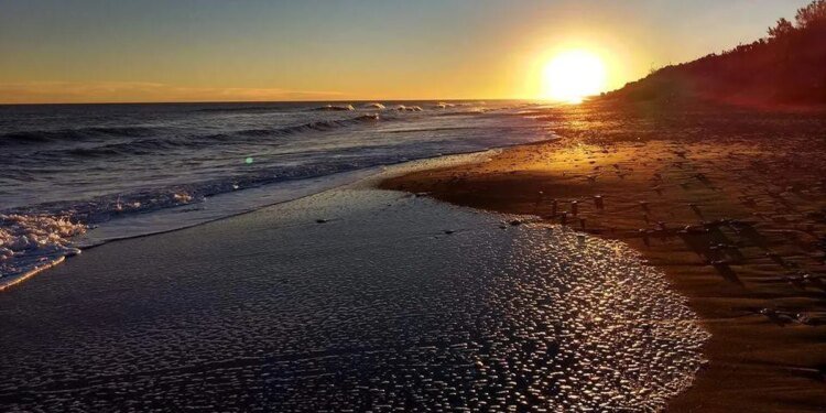 Descubrí Pehuen Có: la playa oculta de la Costa atlántica para disfrutar todo el año
