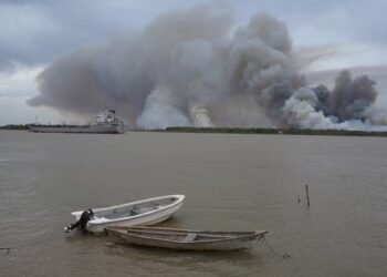 La Corte Suprema ordenó a la Nación y a la Provincia de Buenos Aires prevenir incendios en el Delta