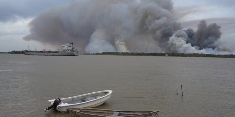 La Corte Suprema ordenó a la Nación y a la Provincia de Buenos Aires prevenir incendios en el Delta