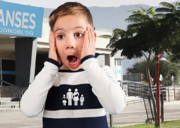 Anses alerta: no compartas tus datos personales para presentar la Libreta de AUH