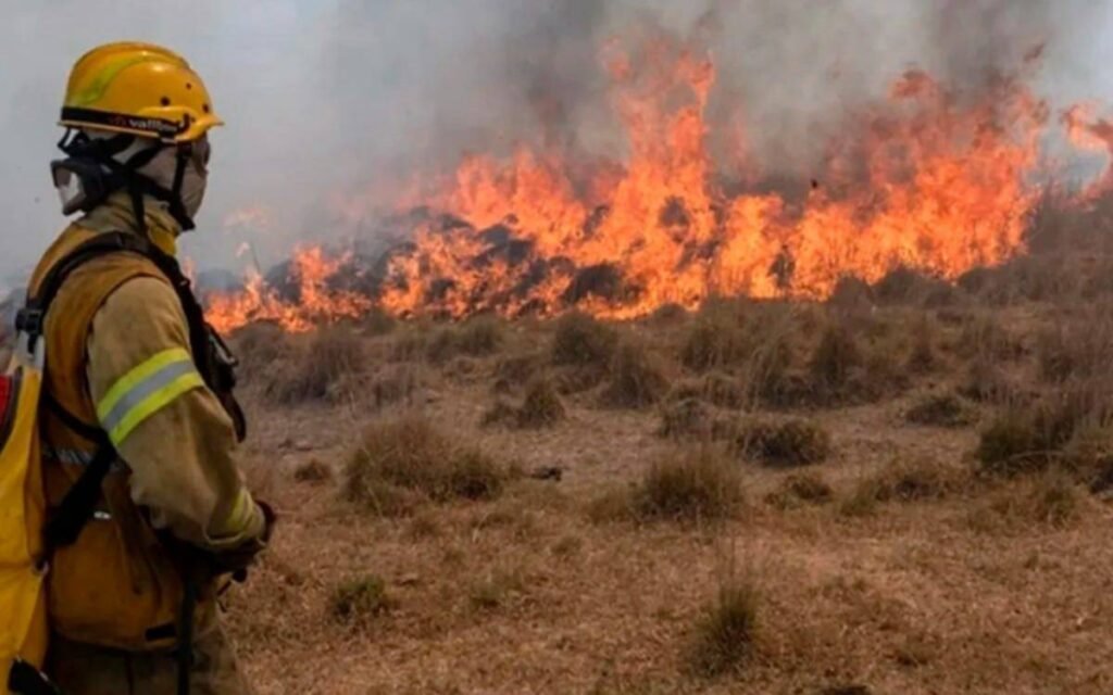 Incendios en la Provincia de Buenos Aires: las áreas más críticas en riesgo extremo