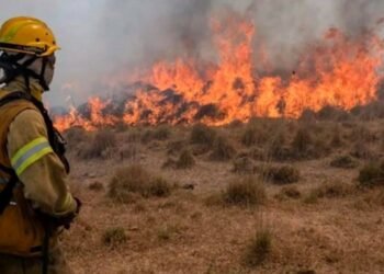Incendios en la Provincia de Buenos Aires: las áreas más críticas en riesgo extremo