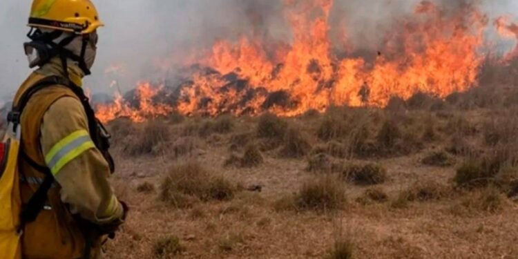 Incendios en la Provincia de Buenos Aires: las áreas más críticas en riesgo extremo