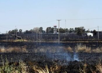 Incendio arrasó 400 hectáreas cerca del aeropuerto: vuelos del domingo reprogramados