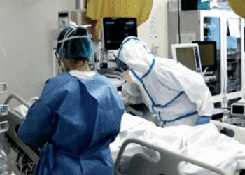 Mendoza: confirmaron la primera muerte por gripe A H3N2 en el país