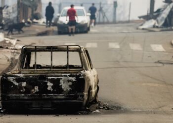 Argentina envía ayuda a Chile para enfrentar los devastadores incendios en el sur