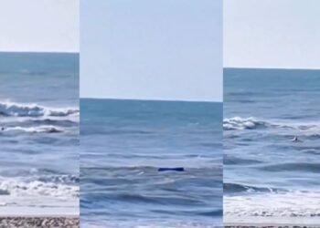 Denunciaron a un guardavida por burlarse de un náufrago en vez de ayudarlo