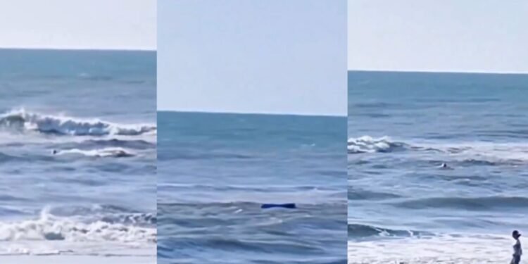 Denunciaron a un guardavida por burlarse de un náufrago en vez de ayudarlo