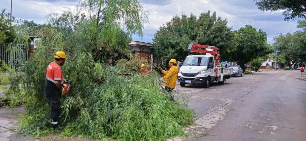 Tormenta en el Gran Mendoza: miles sin luz y agua, ¿cuándo se restablecerán los servicios?
