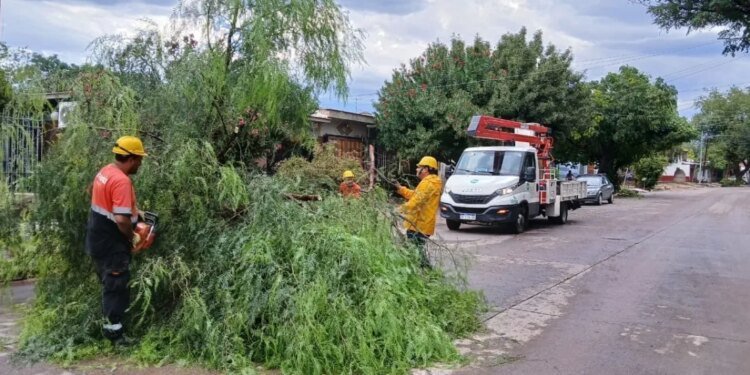 Tormenta en el Gran Mendoza: miles sin luz y agua, ¿cuándo se restablecerán los servicios?