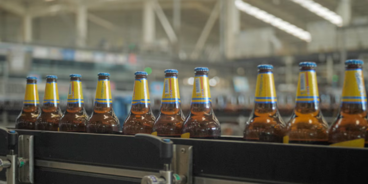 Cerveza en crisis: la industria busca reinventarse ante un consumo en picada y el contrabando