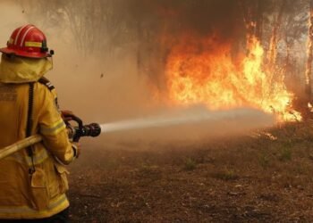 Alerta por incendios forestales en la provincia de Buenos Aires por las altas temperaturas