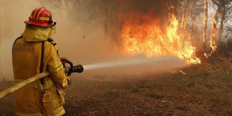 Alerta por incendios forestales en la provincia de Buenos Aires por las altas temperaturas