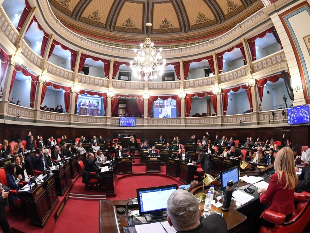 Abusos en el Senado: víctimas relatan su dolor y exigen justicia tras la detención de acusados