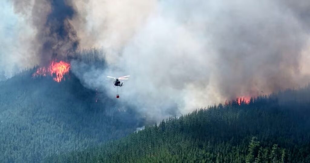 Incendios en la Patagonia: 200 hectáreas perdidas en solo dos días por falta de prevención