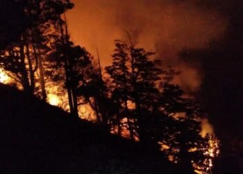 Incendio en Los Alerces: despliegan fuerzas para resguardar viviendas y turistas