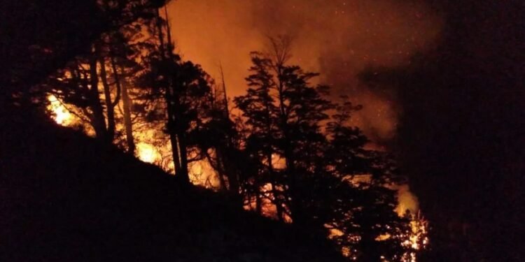 Incendio en Los Alerces: despliegan fuerzas para resguardar viviendas y turistas