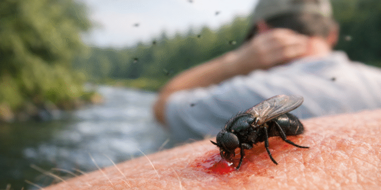 La proliferación del barigüí que preocupa en la cuenca del río Salado