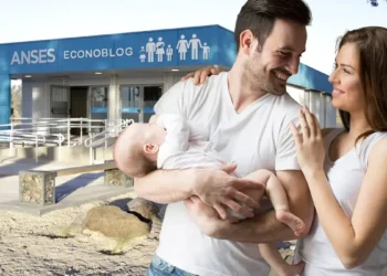 Anses aumentará la asignación por nacimiento en febrero: ¿cuánto se cobrará?