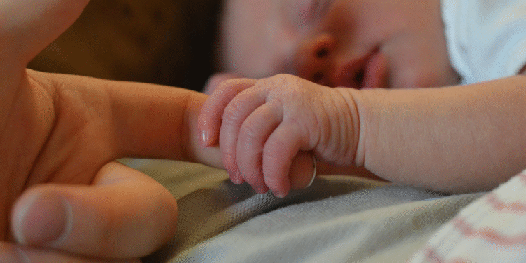 Los nacimientos en la provincia de Buenos Aires cayeron un 9% en 2025 y marcan un récord negativo