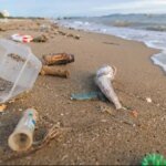 El plástico invade las playas de la Provincia de Buenos Aires: ¿qué podemos hacer?