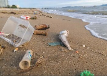 El plástico invade las playas de la Provincia de Buenos Aires: ¿qué podemos hacer?