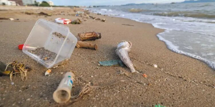 El plástico invade las playas de la Provincia de Buenos Aires: ¿qué podemos hacer?