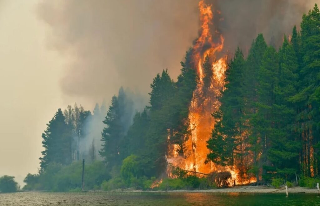 Crisis por incendios: el Gobierno evalúa prorrogar la ley de Emergencia Ígnea