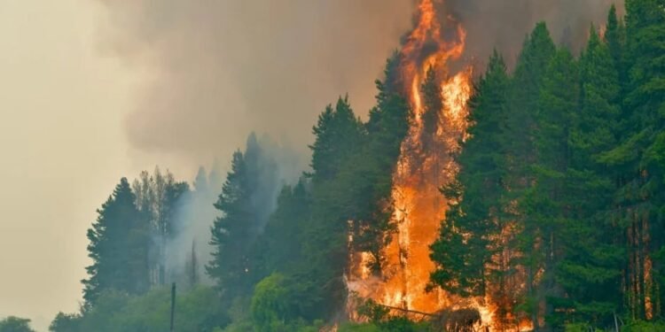 Crisis por incendios: el Gobierno evalúa prorrogar la ley de Emergencia Ígnea