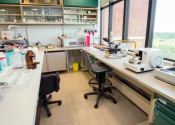 Cáncer de hígado: equipo argentino destaca la epigenética como clave en nuevos tratamientos