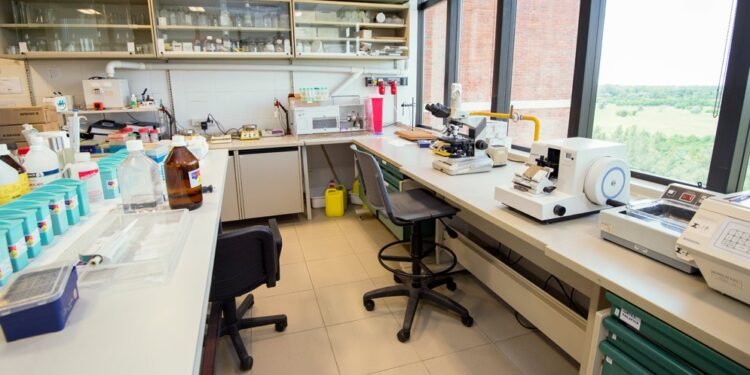 Cáncer de hígado: equipo argentino destaca la epigenética como clave en nuevos tratamientos