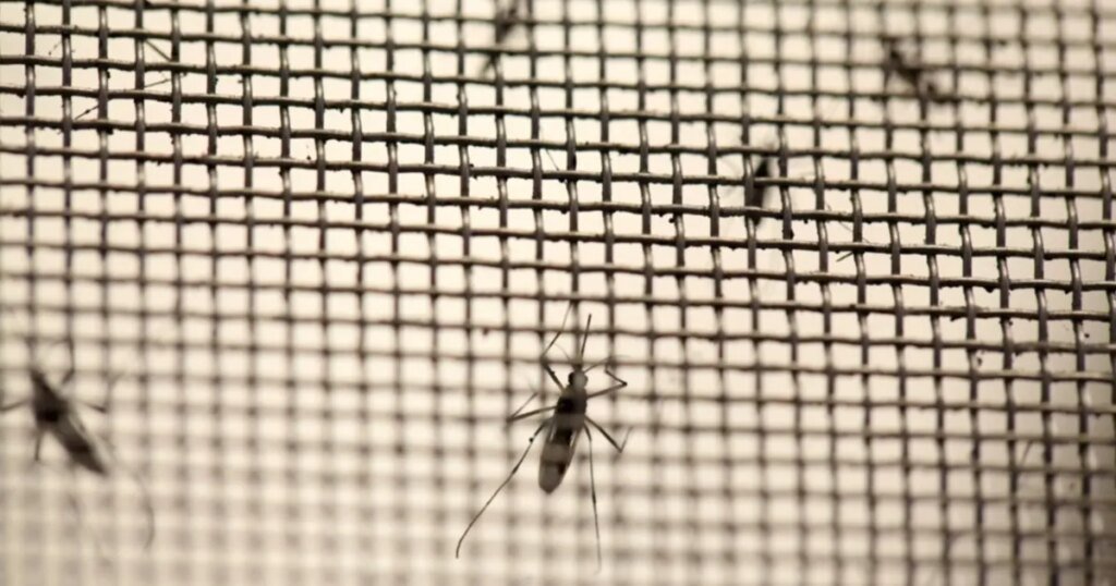 La Plata intensifica la campaña contra el dengue con entrega gratuita de repelentes