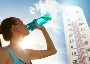 El calor agobia en la Provincia de Buenos Aires: se esperan días sofocantes