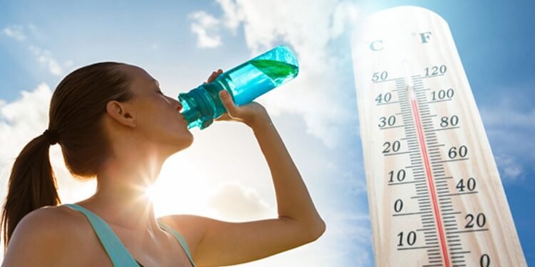 El calor agobia en la Provincia de Buenos Aires: se esperan días sofocantes