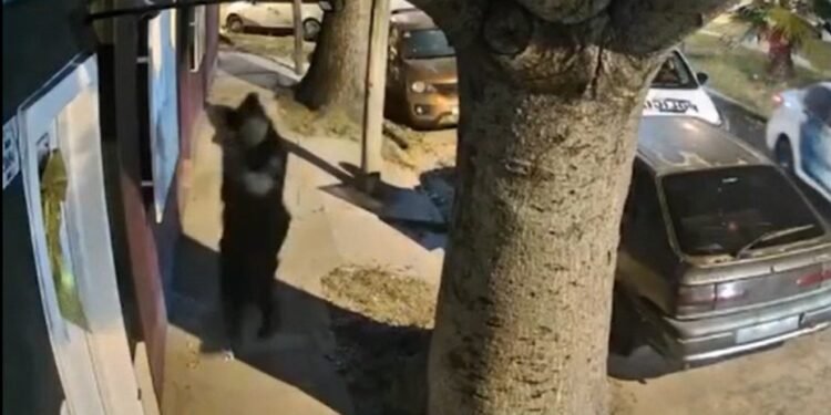 Tiroteo en San Martín: un policía muerto y dos heridos tras enfrentamiento durante operativo