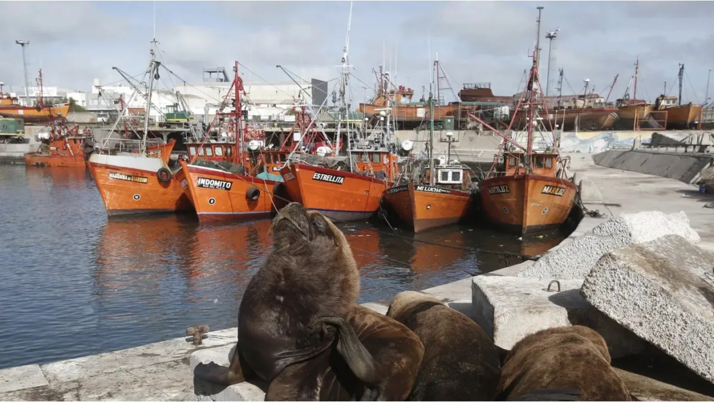 La Provincia de Buenos Aires creó el Consejo Portuario: objetivos y funciones clave en su gestión