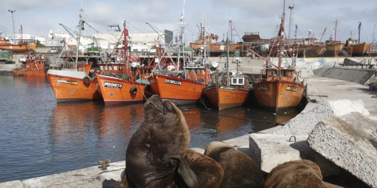 La Provincia de Buenos Aires creó el Consejo Portuario: objetivos y funciones clave en su gestión