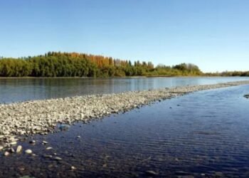 Tragedia en Neuquén: un pibe de 14 años se ahogó en el río Limay mientras nadaba